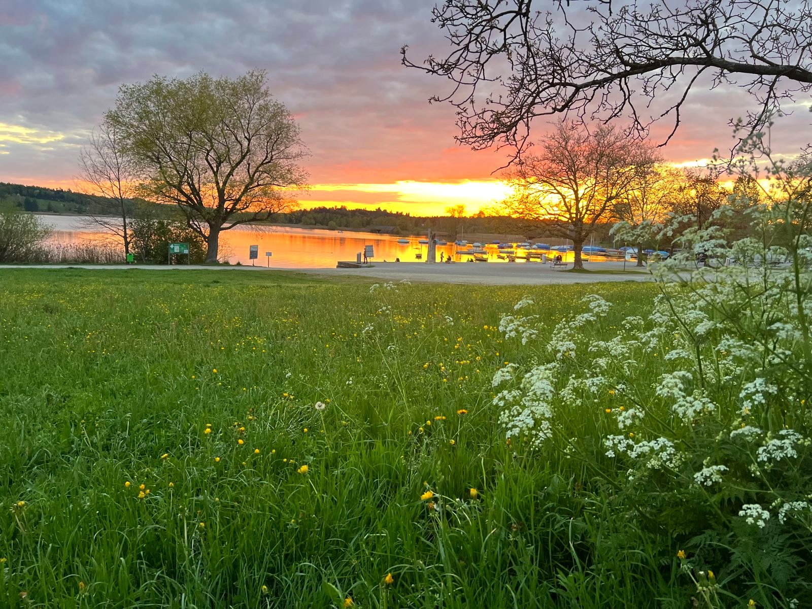 Sonnenuntergang am Pfäffikersee — 50 m vom Haus